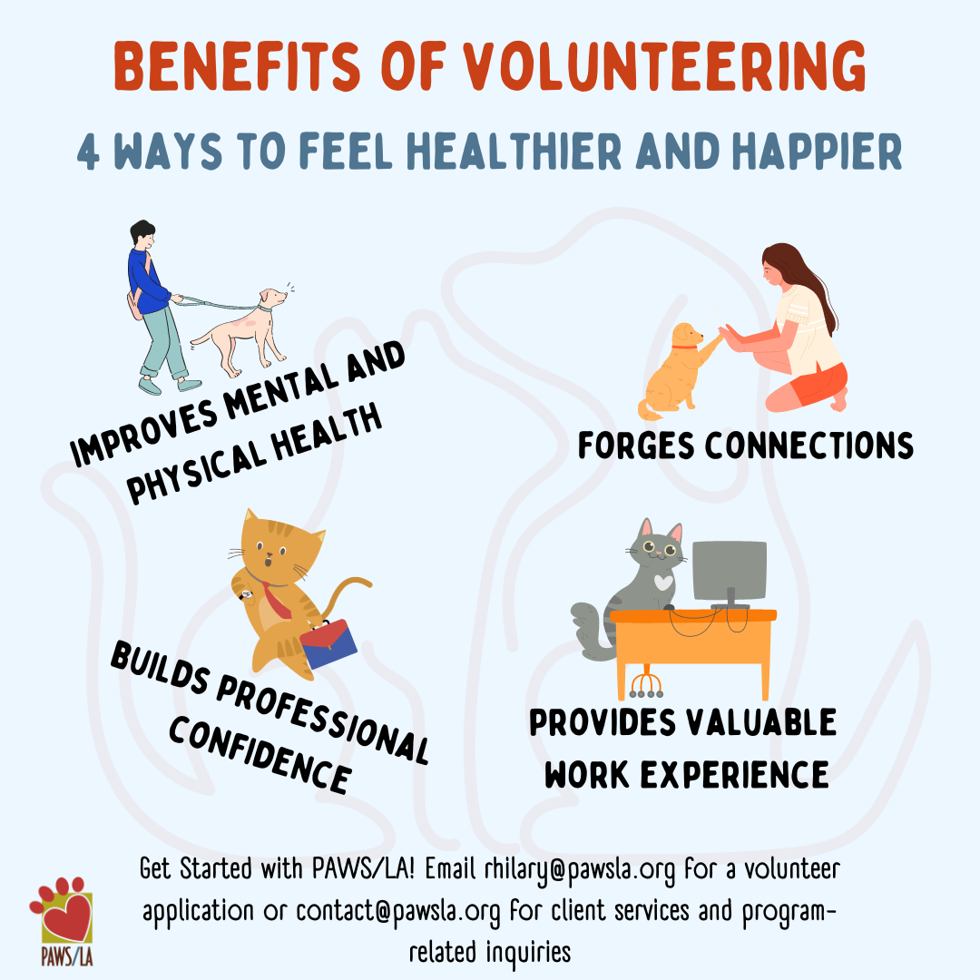 Cartoon infographic about the benefits of volunteering: health, connection, confidence, experience