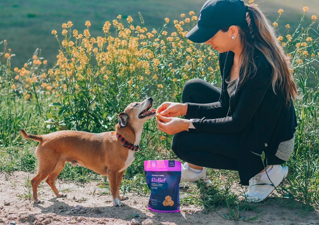 Woman on hike feeding small brown dogs treats
