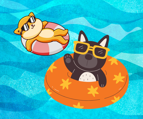 Cartoon cat and dog on pool floats with a watery background